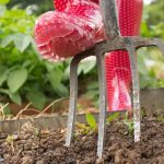Gardening fork in soil with red rubber boots, illustrating outdoor maintenance and landscaping.